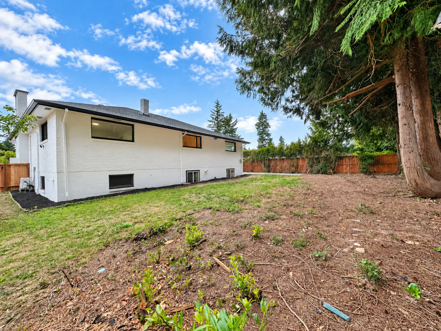 Back yard with mature cedar and fencing